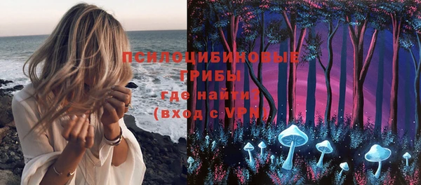 ПСИЛОЦИБИНОВЫЕ ГРИБЫ Алексин