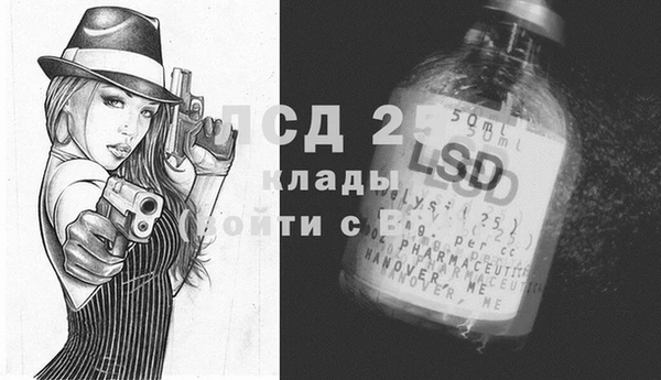 соль ск Алексеевка