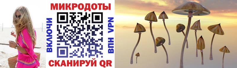 darknet Telegram  Микунь  Псилоцибиновые грибы Cubensis 